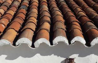 Casa na aldeia - Foto 44