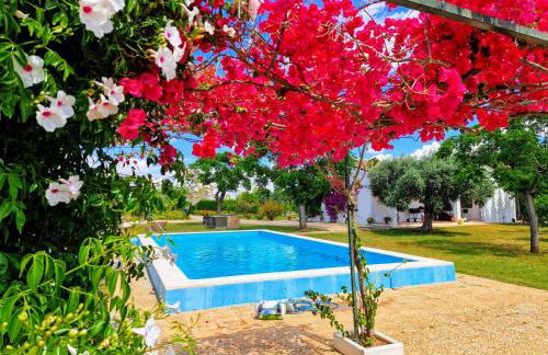 Casa en el campo cerca de sevilla - Foto 10