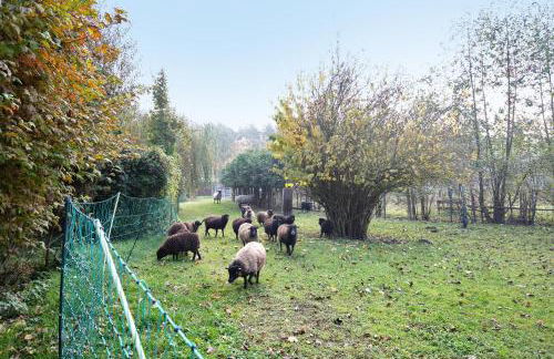 Ferienwohnung Müncheberg 1 - Photo 25