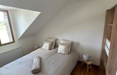 Jolie maison style champenois Classement 3 étoiles Gîtes de France - Foto 23