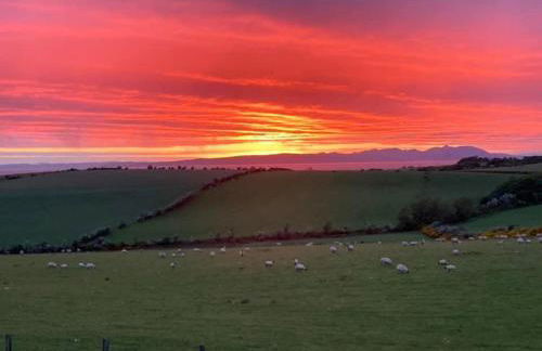 1 Bed in Turnberry 78071 - Foto 19