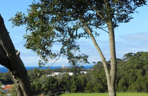 Vale Dos Milhafres - Photo 22