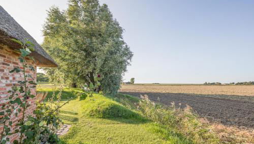 Idyllische kleine Reetdachkate mit Blick über die Felder - Kamin, Terrasse & Privatparkplatz - Foto 3