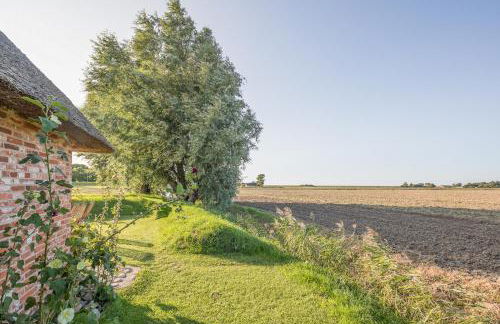 Idyllische kleine Reetdachkate mit Blick über die Felder - Kamin, Terrasse & Privatparkplatz - Foto 3