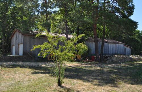 Gîte pour 4 personnes - Dordogne - Foto 29