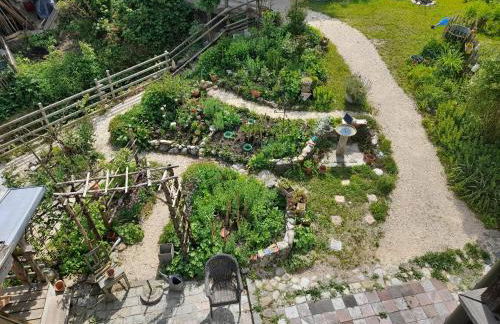 Im Naturgarten - Foto 44