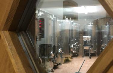 LA VIVO - Leon i Emili - Foto 29