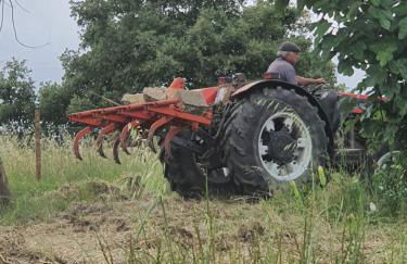 Casa da Padaria - Foto 23