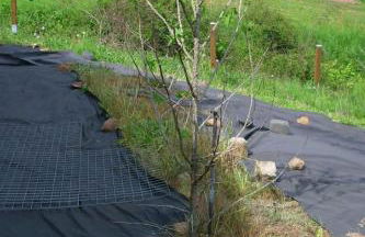 Apartment by Interhome - Foto 37