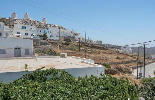 Politimis Studio N5 - Foto 18