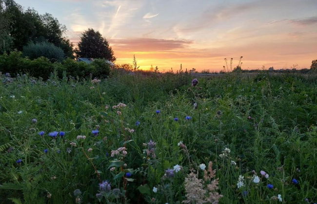 Country House in Poperinge Near WWI Sites - Photo 36