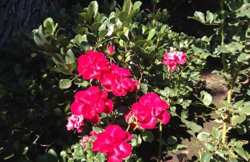 Villa Giovanna - Foto 75