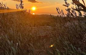 Aquarius Luxury Suites - Foto 14