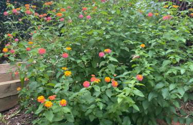 Eagle Mountain River Retreat - Foto 75