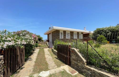 BuenaVista - Photo 18