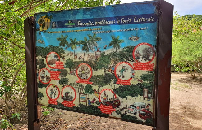 Studio abricot 309 - Photo 17