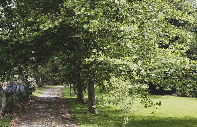 Romantic Woodland Chalet - Photo 39