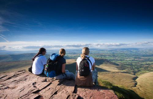 1 Bed in Nantygwreiddyn oc-bow49 - Foto 3