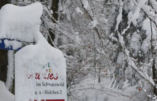 Paradies Im Schwarzwald - Foto 20