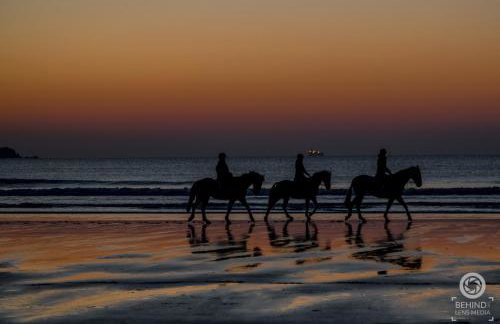 One Sand Banks - Foto 37