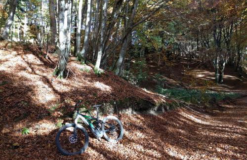 Dolomiti Relax - Foto 27