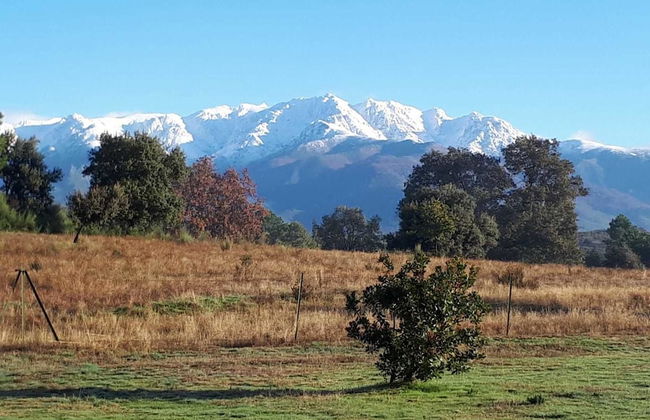 Sakura Vera - Foto 50