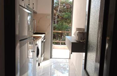 Kariani Beach Studio - Foto 32