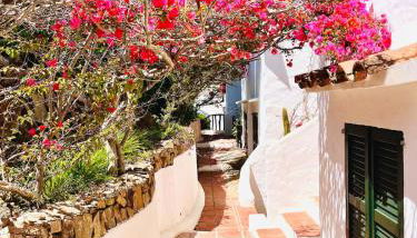 Lovely Menorca, amazing sea views and sunsets. - Photo 5