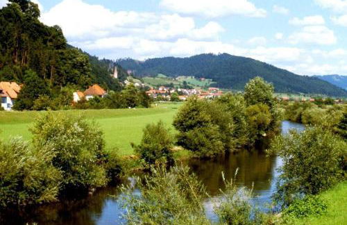 Ferienwohnung, Fischerbach im Kinzigtal - Foto 35