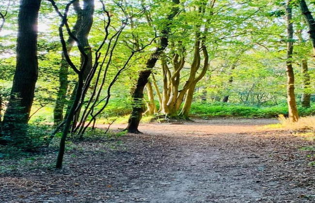 Luxurious Apartment Near the Pleasant Centre of Bergen - Foto 38