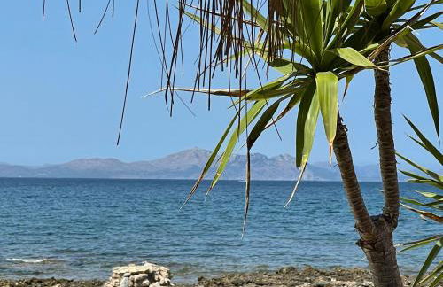 Casa Abeja - Foto 24