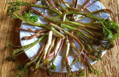 Agriturismo Randis - Foto 14