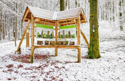 Luxury Apartments Winterberg in der alten Schule - Foto 40