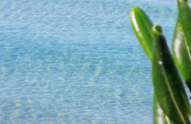 Villa Iris- indipendente sul mare - Foto 6