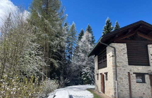 Maso Giulia - Foto 54