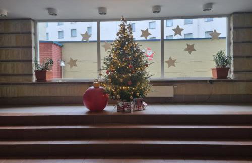 Apartament B & S - Free Garage Parking - Foto 41