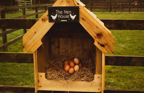Springwood Shepherd Huts Glamping York - Photo 27