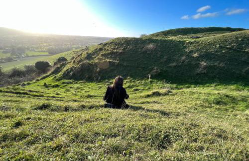 Hog Plum 2 Bed,Ground Floor, Centre Child Okeford - Photo 22