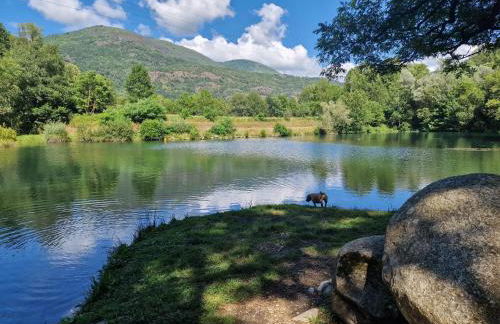 La Brillance - Foto 24