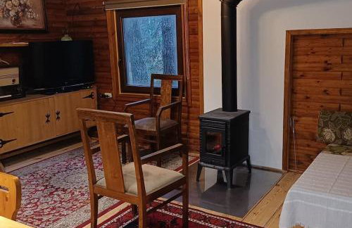 Wilga - klimatyczny domek z 2 tarasami - Foto 6