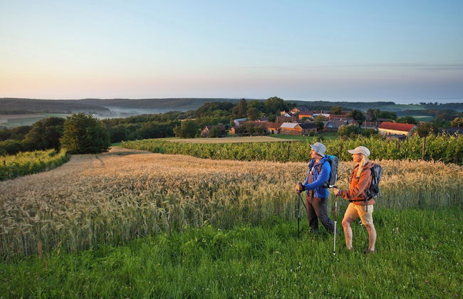 Goričko Natural Chalets - Foto 40