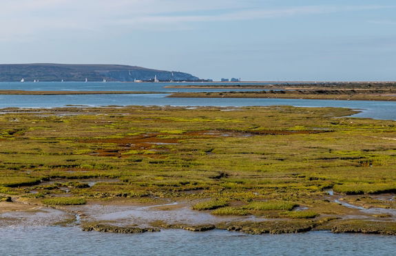 Sailmaker's Cottage - Foto 28