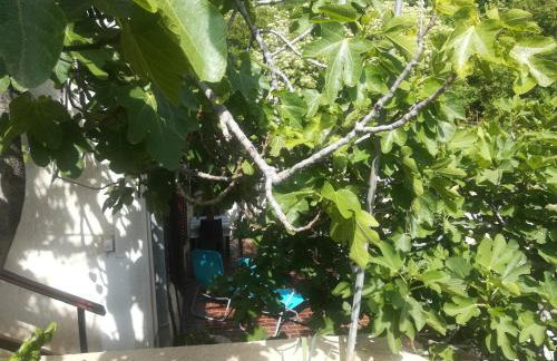 Apartman Legac - Foto 43