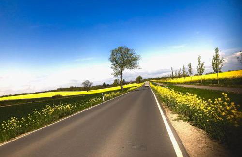 Landhausidyll Apartment Wohn- und Schlafzimmer - Foto 17