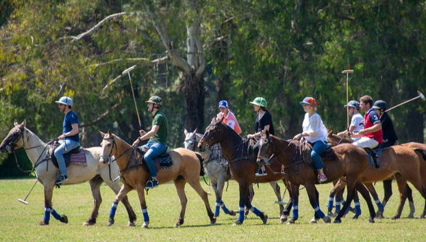Learn how to play horse polo