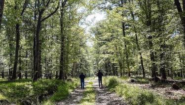 Le Val Suzenay - Foto 4