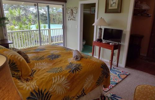 Pohaku Place - 3000 sqft of tropical charm spa - Foto 15