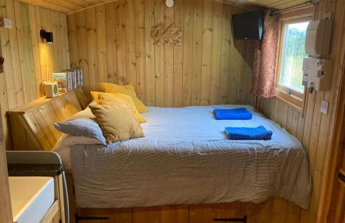 The Shepherd's Hut with cozy logburner - Foto 45