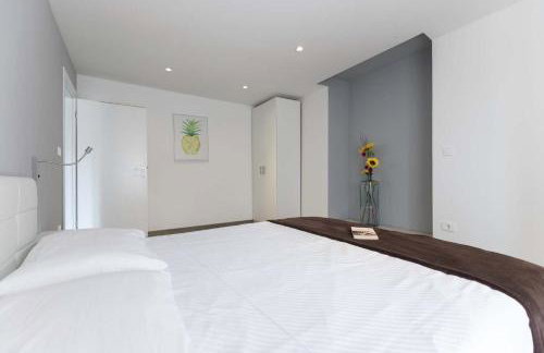 Villa Viscum in Central Istria for 8 persons with large garden - pet friendly - Foto 35