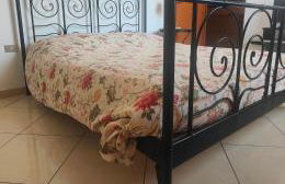 Il Melarancio del Salento - Foto 8